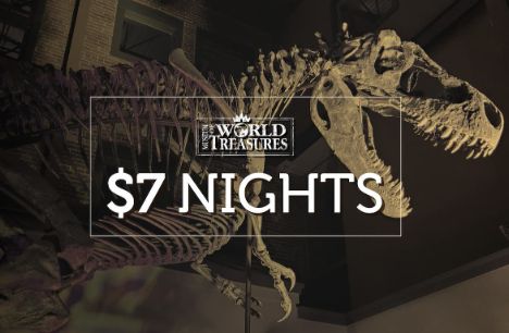 $7 Nights at the Museum